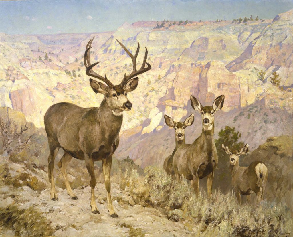 Mule Deer in the Badlands, Dawson County, Montana, 1914. Carl Rungius. Oil on canvas, 59 x 75 inches. Buffalo Bill Center of the West, Cody, WY. Gift of Jackson Hole Preserve, Inc. 16.93.2