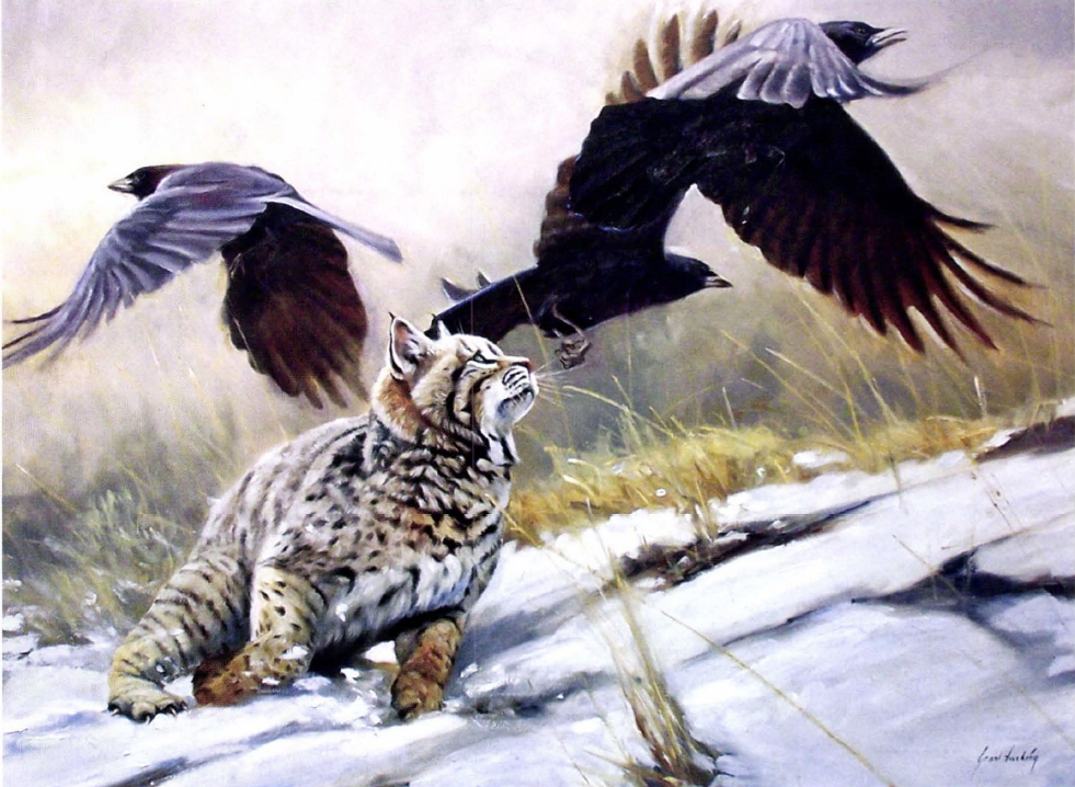 bobcat and birds painting
