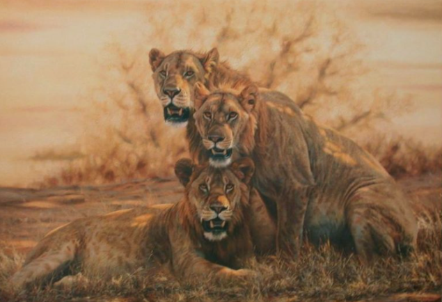 lion painting by simon combes